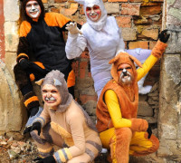 Musigatos